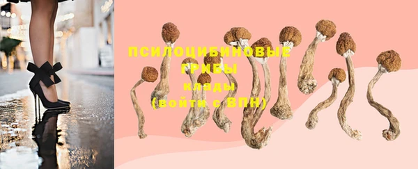 ГАЛЛЮЦИНОГЕННЫЕ ГРИБЫ Балахна