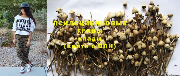 ГАЛЛЮЦИНОГЕННЫЕ ГРИБЫ Балахна